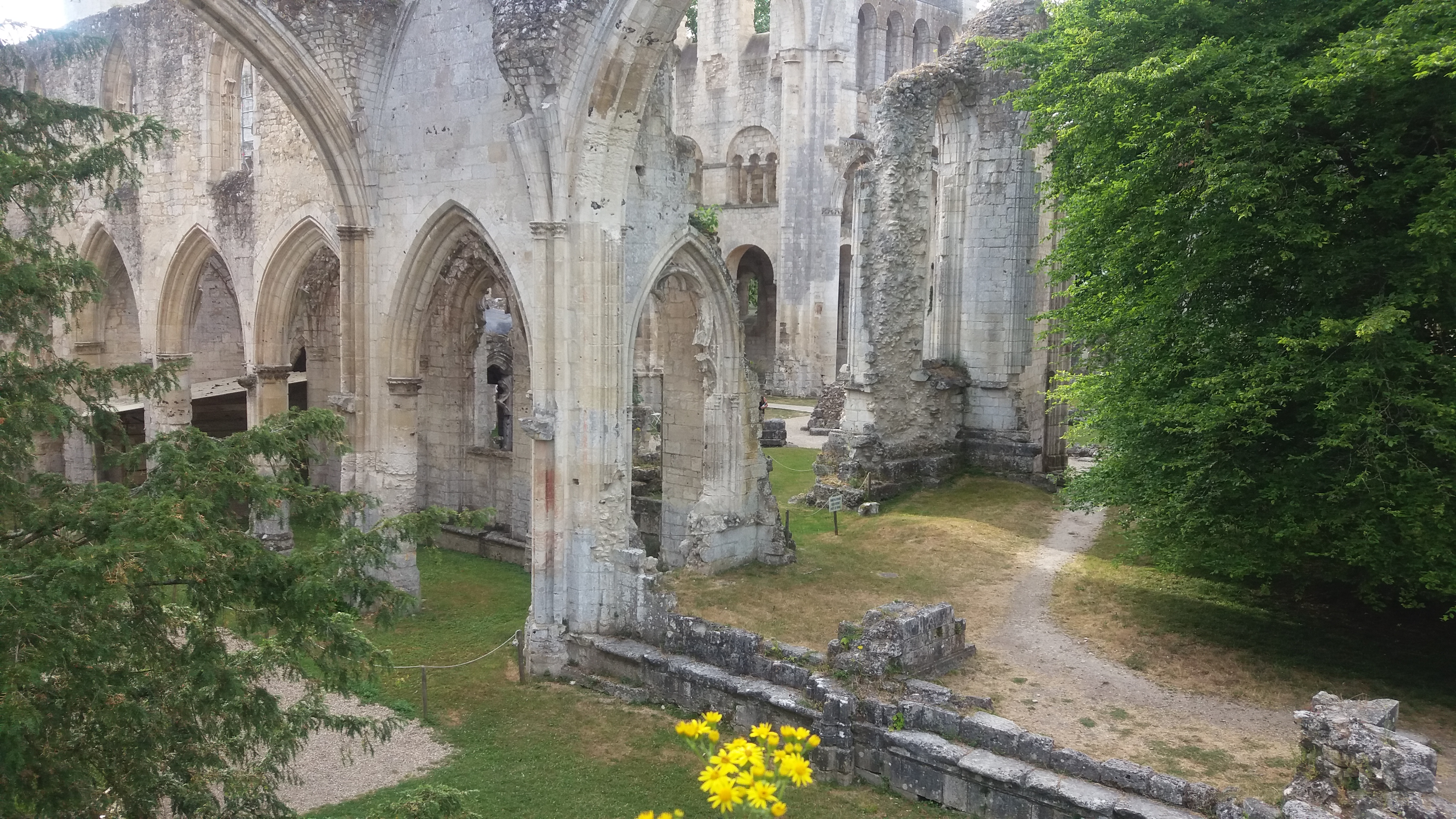Ruines de l'abbaye de Jumièges !