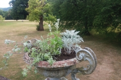 Parc de l'abbaye de Jumièges