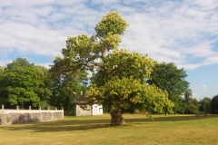 Parc de l'abbaye